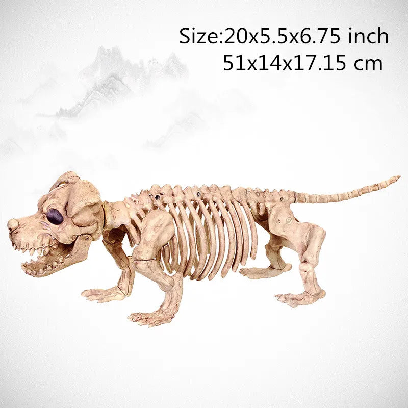 Skeleton Animal Plastic Animal Skeleton Bones 