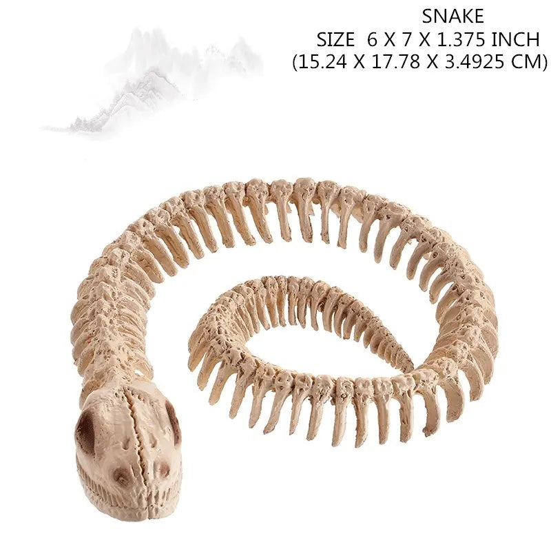 Skeleton Animal Plastic Animal Skeleton Bones 