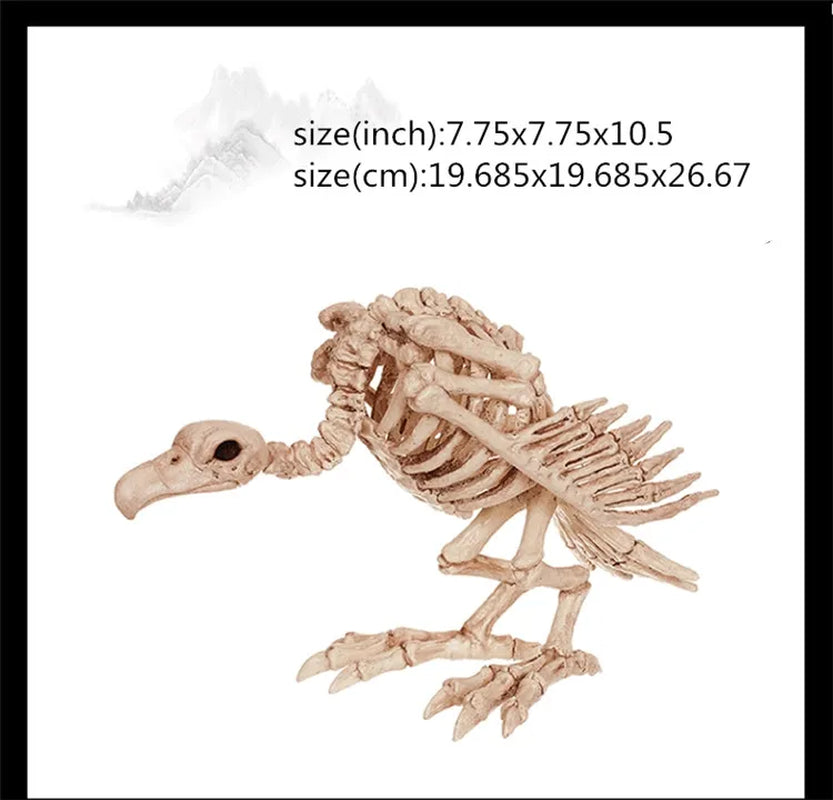 Skeleton Animal Plastic Animal Skeleton Bones 