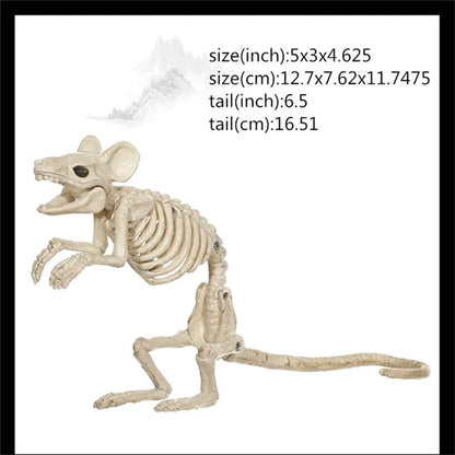 Skeleton Animal Plastic Animal Skeleton Bones 