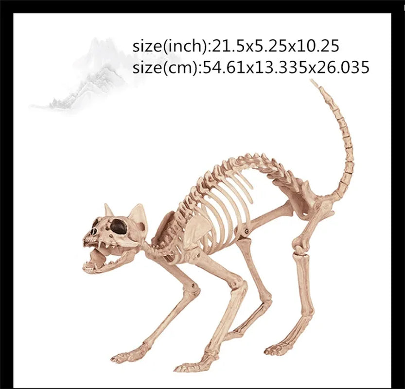 Skeleton Animal Plastic Animal Skeleton Bones 