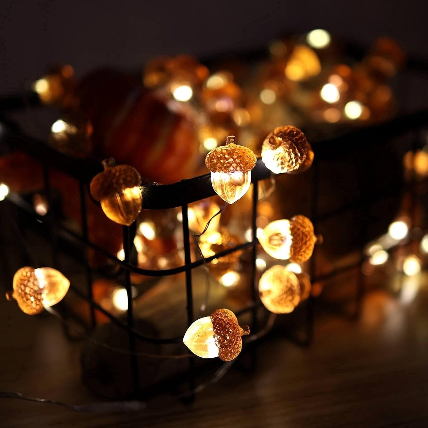 Acorn String Lights 