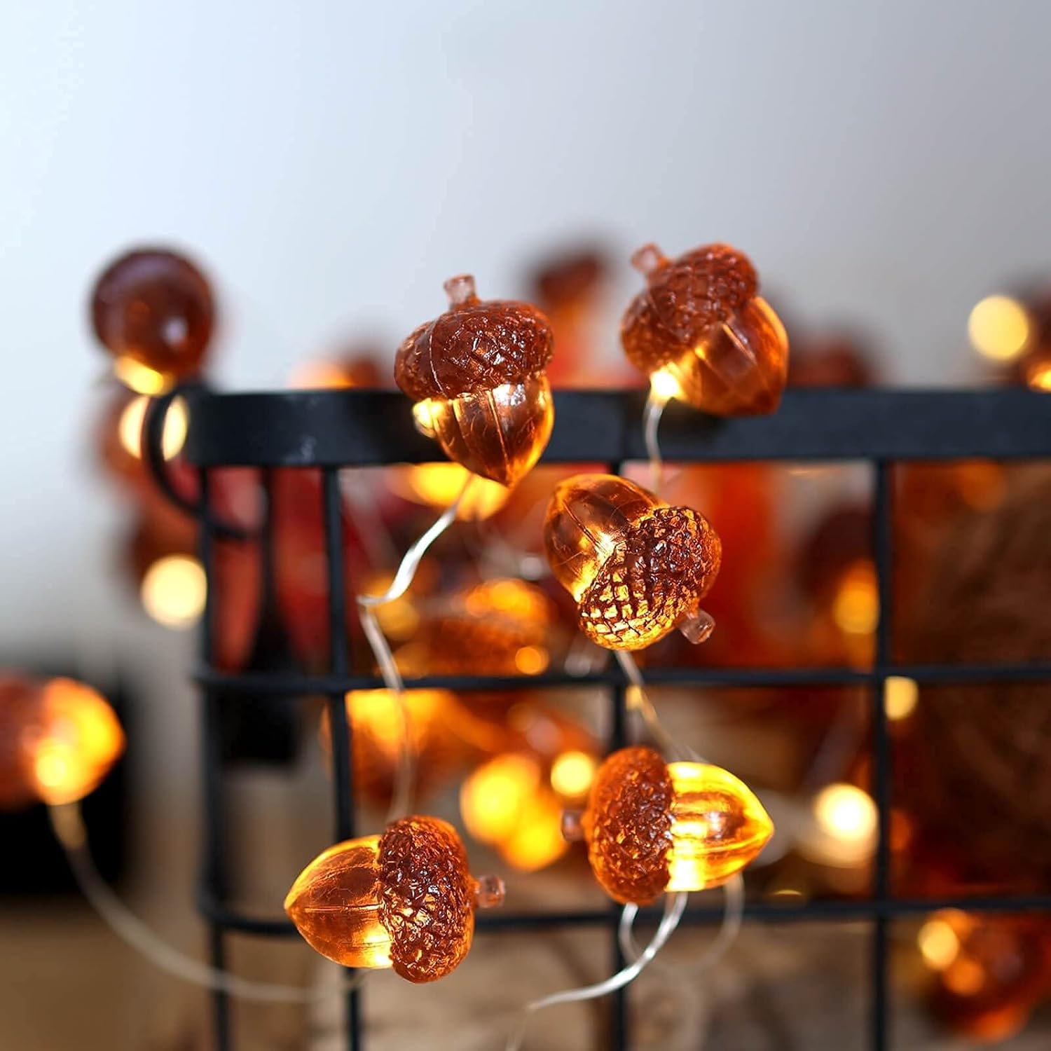 Acorn String Lights 