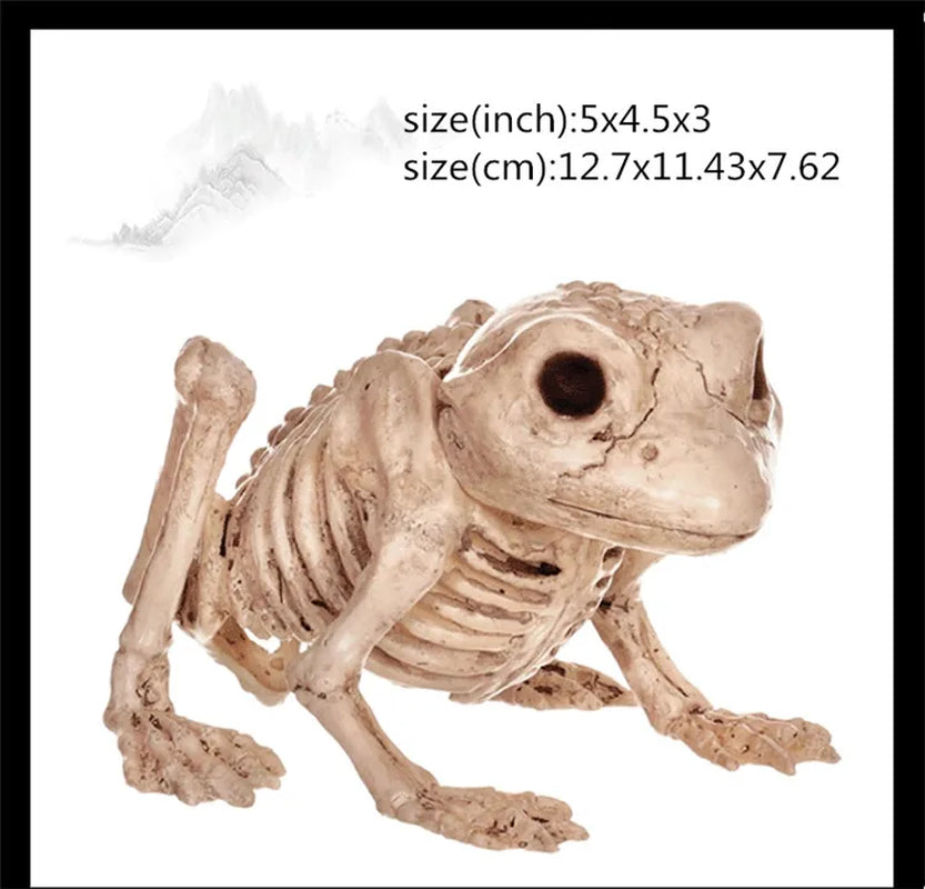 Skeleton Animal Plastic Animal Skeleton Bones 