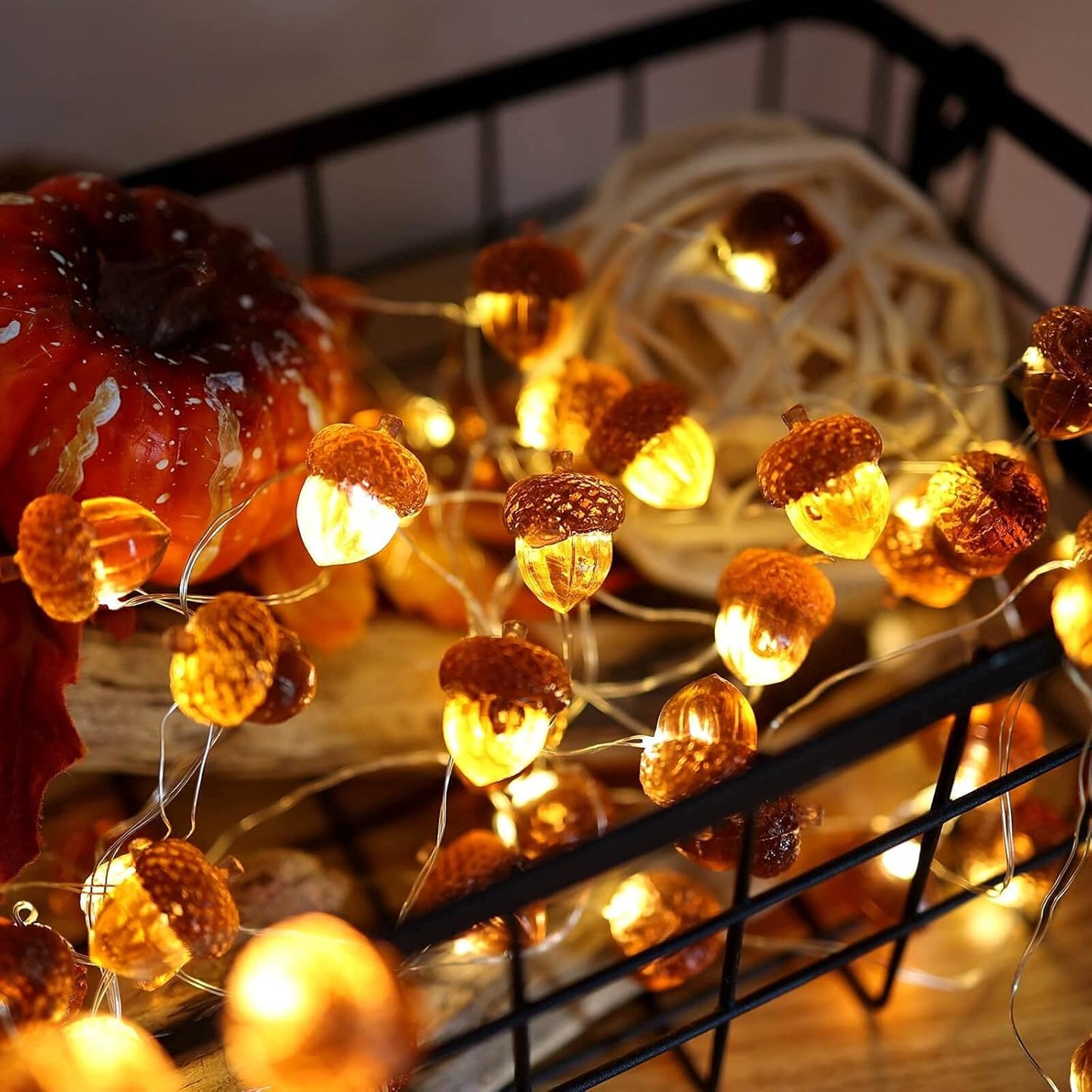 Acorn String Lights 