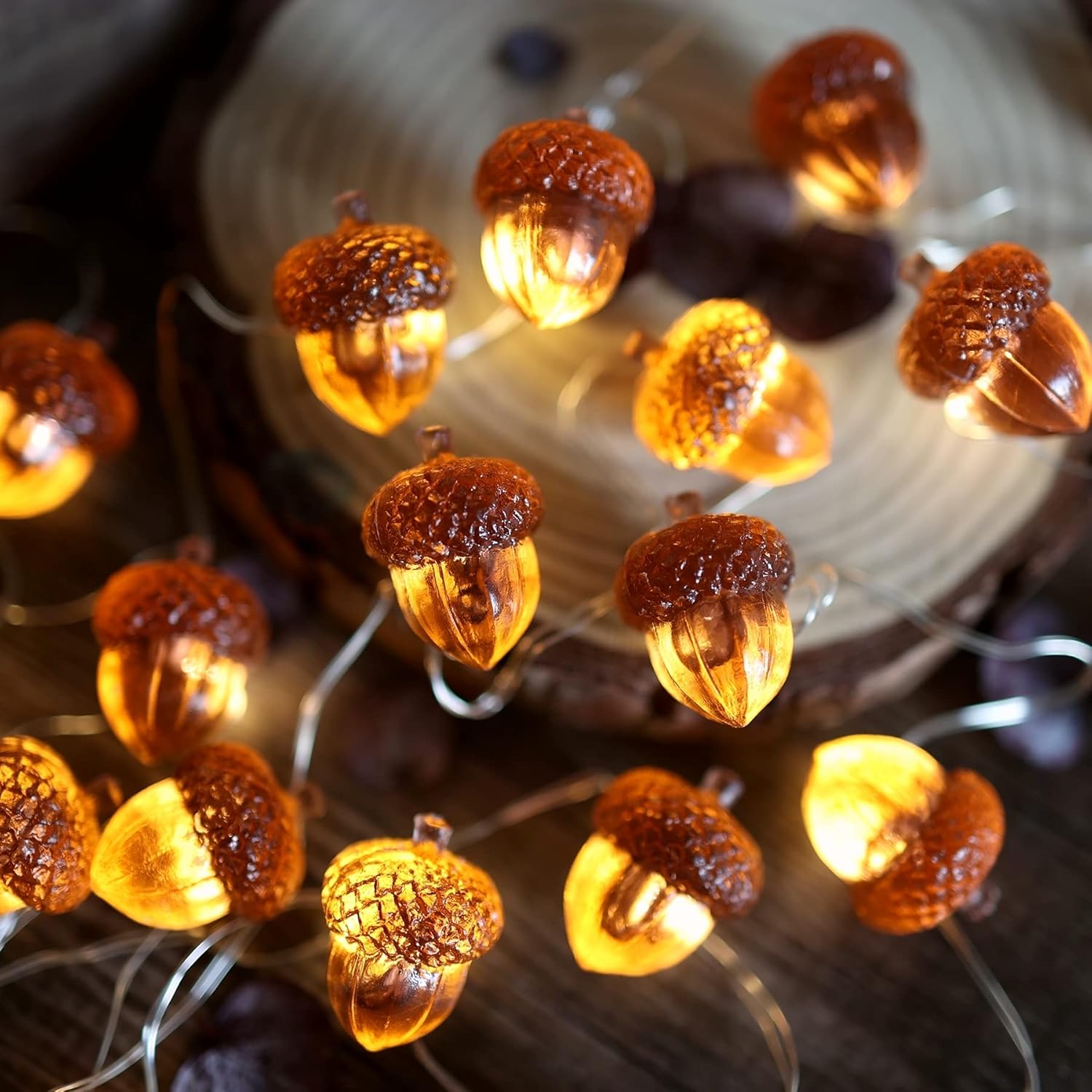 Acorn String Lights 