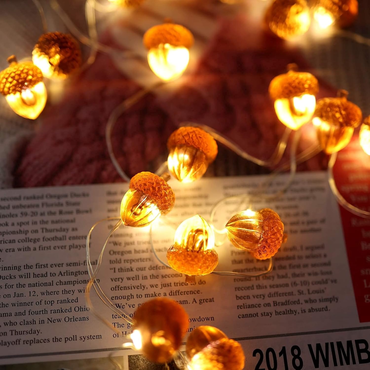 Acorn String Lights 