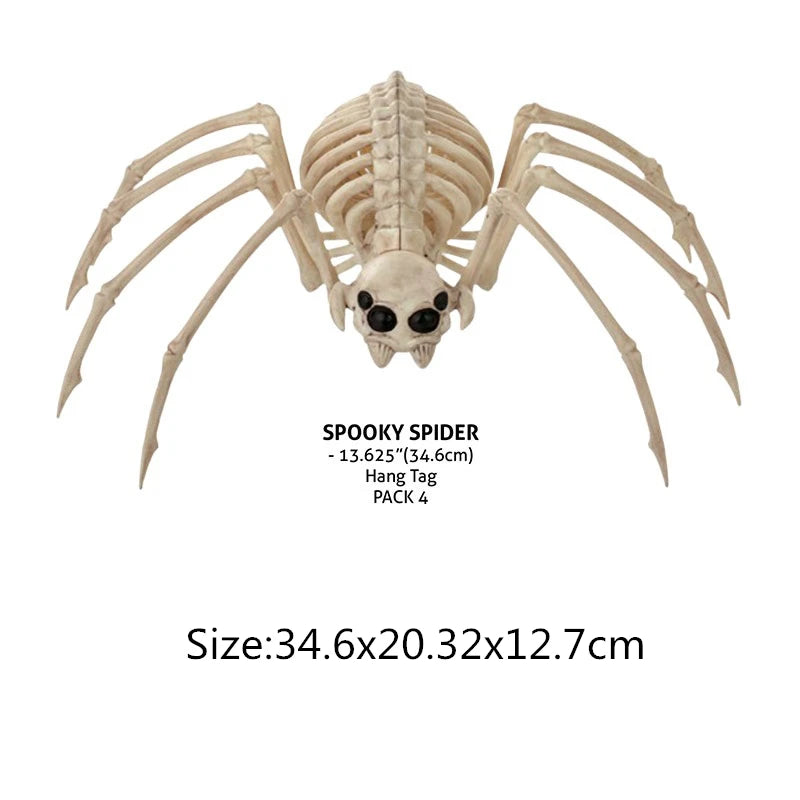 Skeleton Animal Plastic Animal Skeleton Bones 