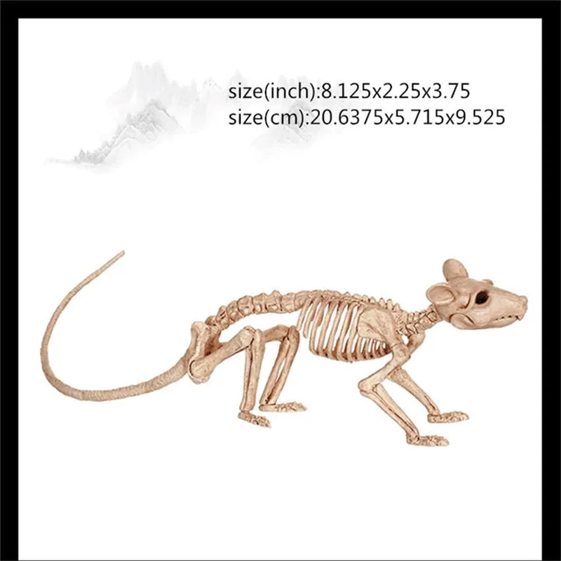 Skeleton Animal Plastic Animal Skeleton Bones 