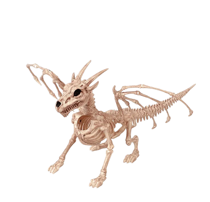 Skeleton Animal Plastic Animal Skeleton Bones 