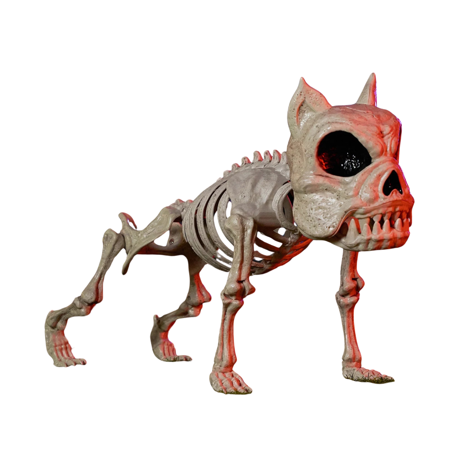 2 Pcs Bulldog Skeleton Halloween Decor