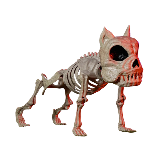 2 Pcs Bulldog Skeleton Halloween Decor