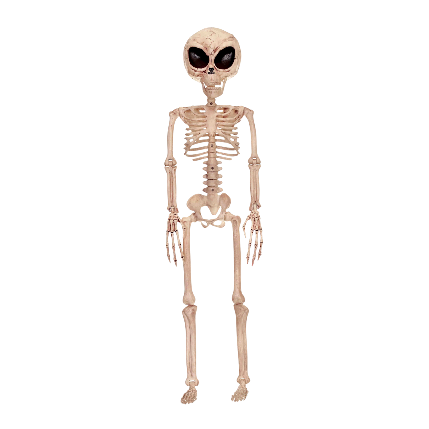 Alien Skeleton Halloween Decoration