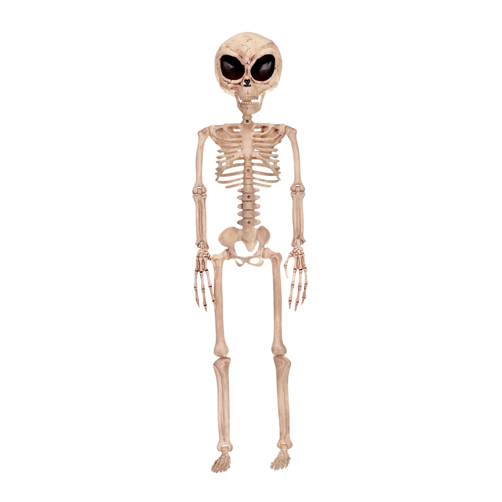 Alien Skeleton Halloween Decoration