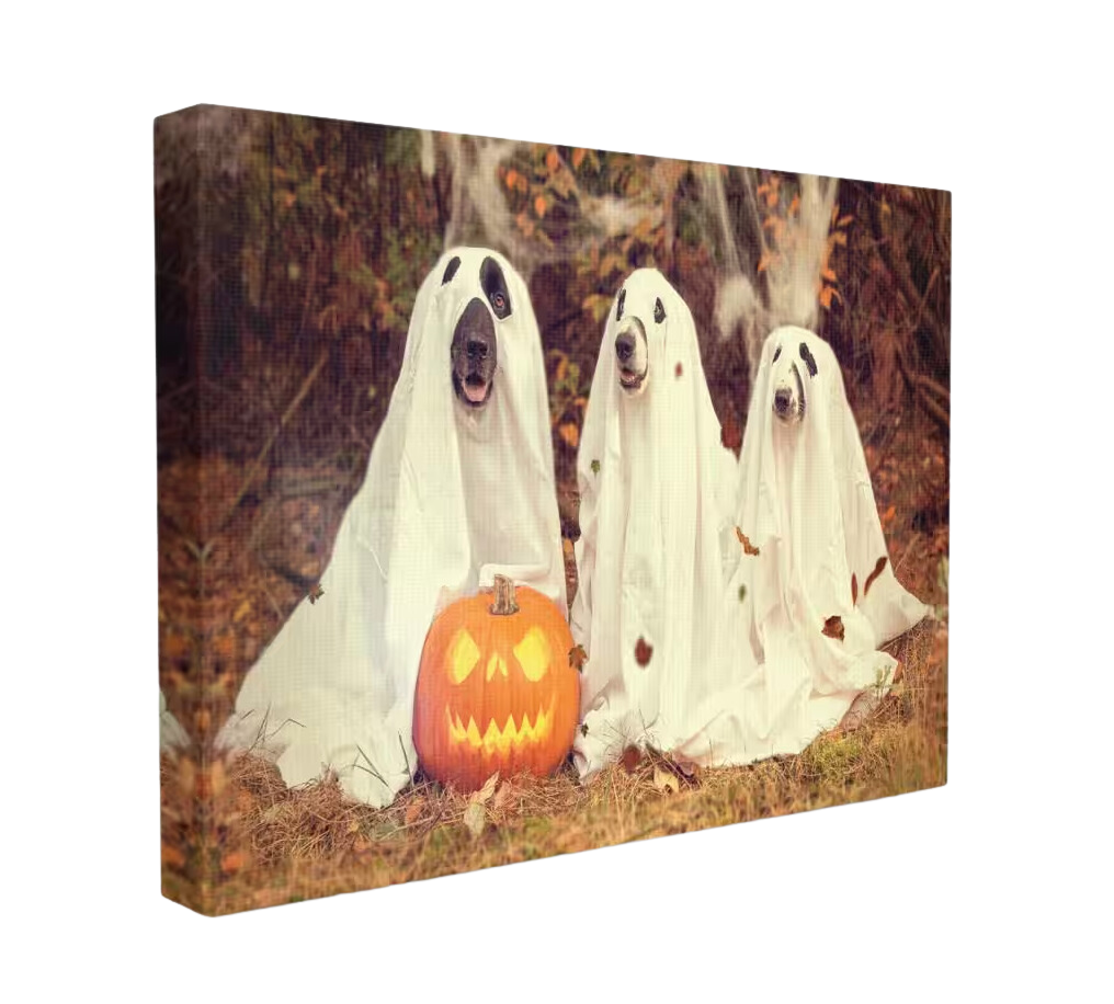 Ghost Dogs with Pumpkin Picture