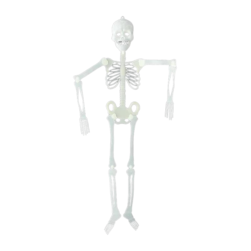 Glow in the Dark Movable Skeleton