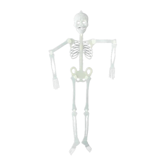 Glow in the Dark Movable Skeleton