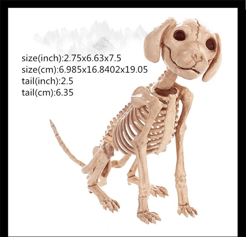 Skeleton Animal Plastic Animal Skeleton Bones 