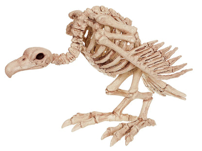 Skeleton Animal Plastic Animal Skeleton Bones 