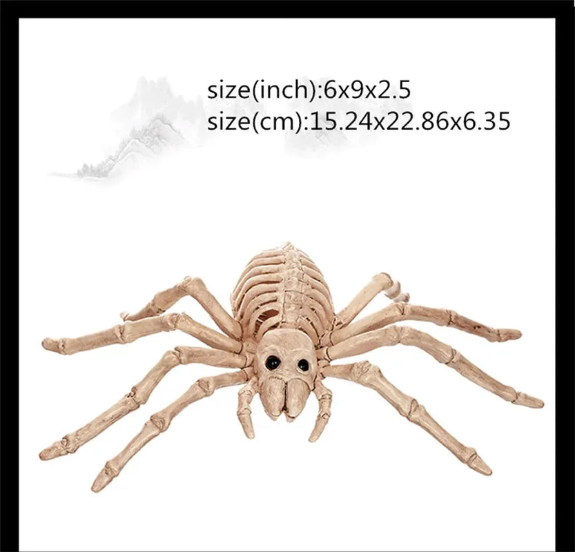 Skeleton Animal Plastic Animal Skeleton Bones 