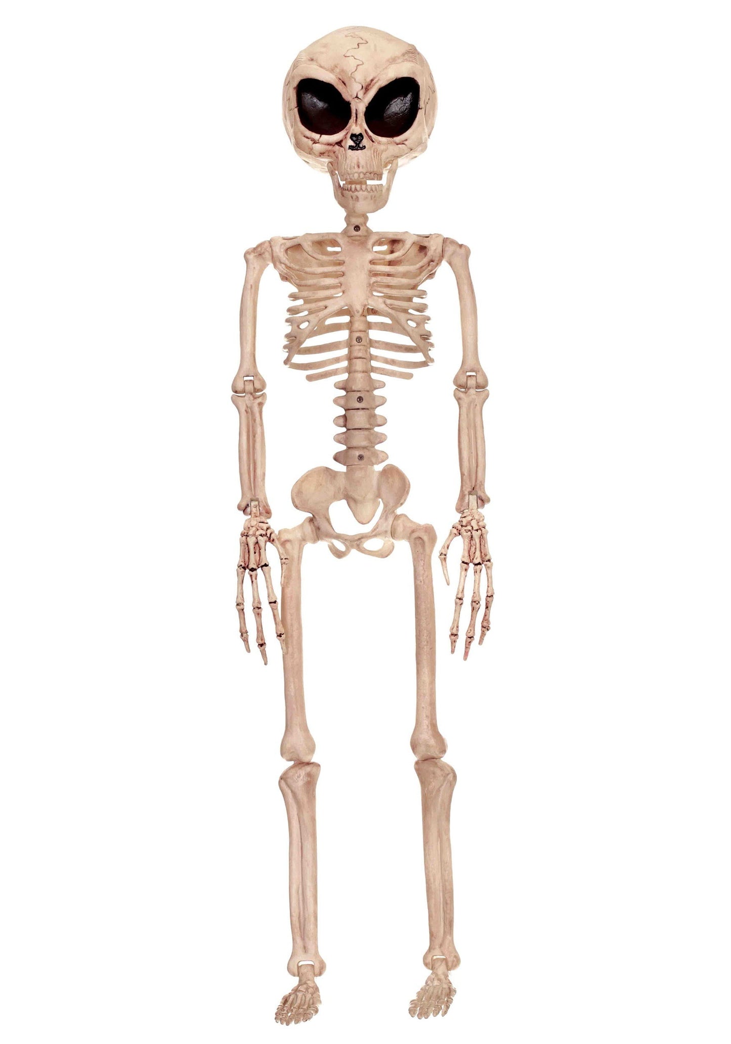 Alien Skeleton Halloween Decoration