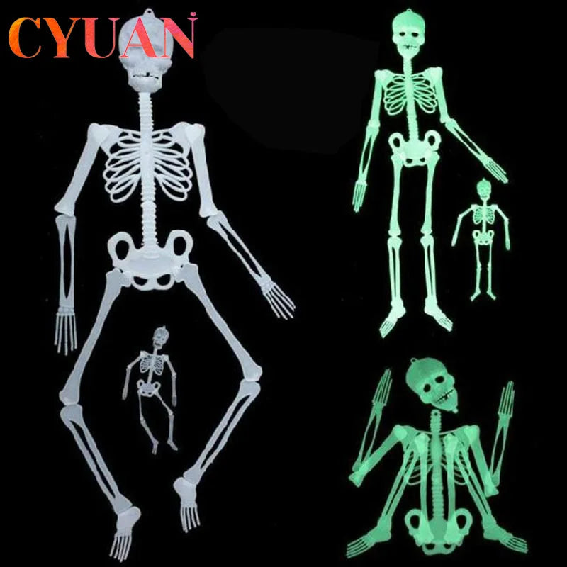 Glow in the Dark Movable Skeleton