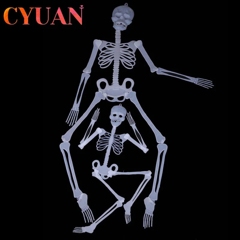 Glow in the Dark Movable Skeleton