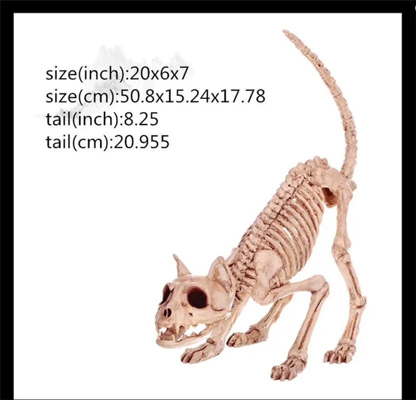 Skeleton Animal Plastic Animal Skeleton Bones 