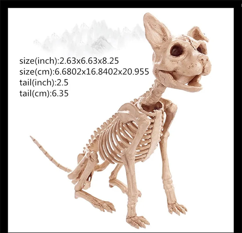 Skeleton Animal Plastic Animal Skeleton Bones 