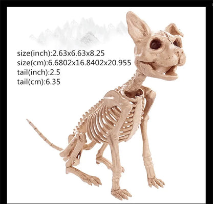 Skeleton Animal Plastic Animal Skeleton Bones 