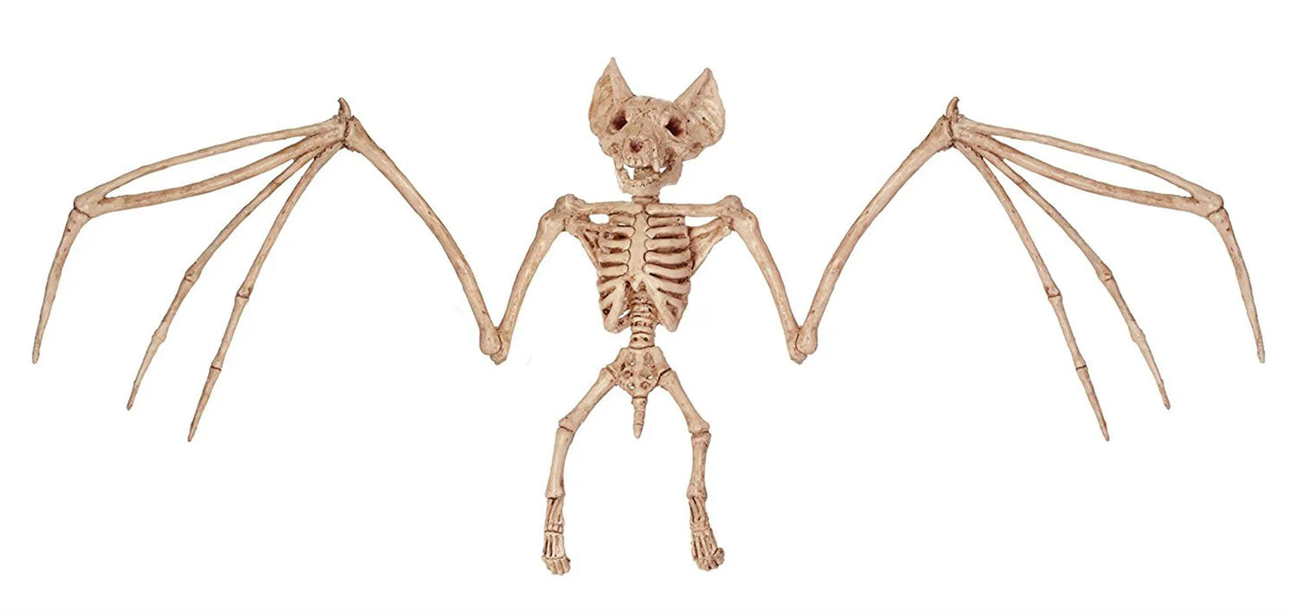 Skeleton Animal Plastic Animal Skeleton Bones 