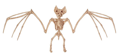 Skeleton Animal Plastic Animal Skeleton Bones 