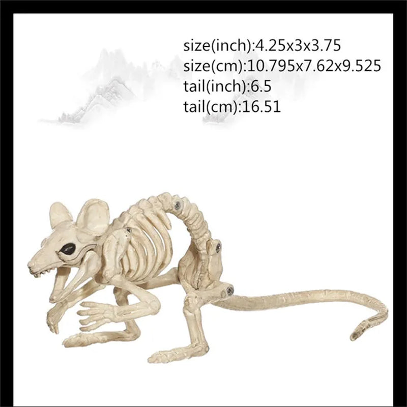 Skeleton Animal Plastic Animal Skeleton Bones 