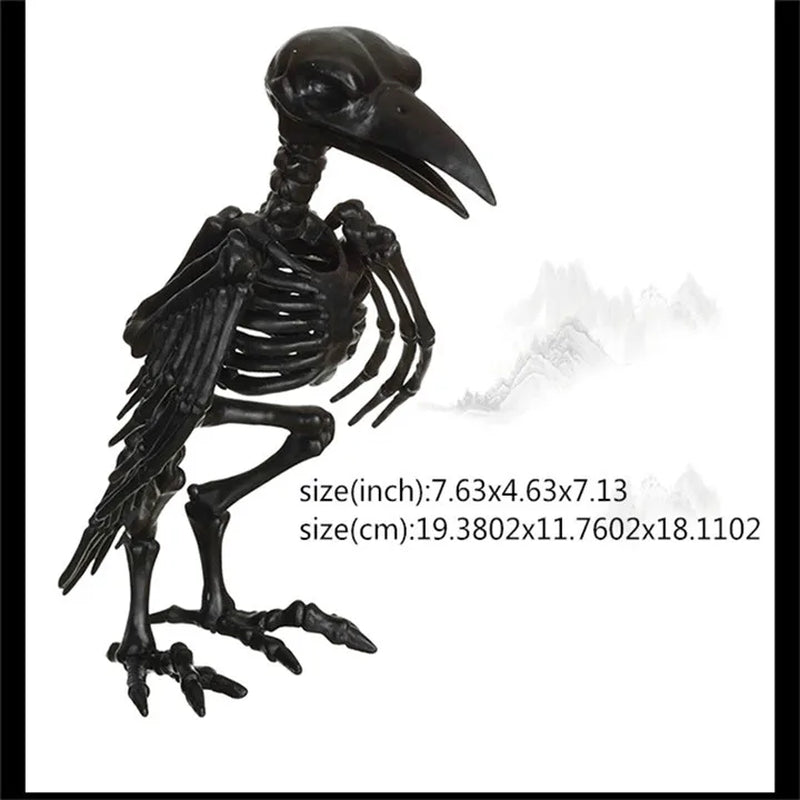 Skeleton Animal Plastic Animal Skeleton Bones 