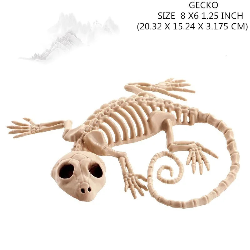 Skeleton Animal Plastic Animal Skeleton Bones 