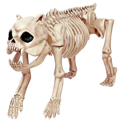 Skeleton Animal Plastic Animal Skeleton Bones 