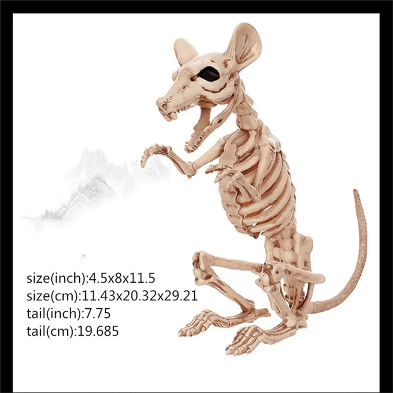 Skeleton Animal Plastic Animal Skeleton Bones 