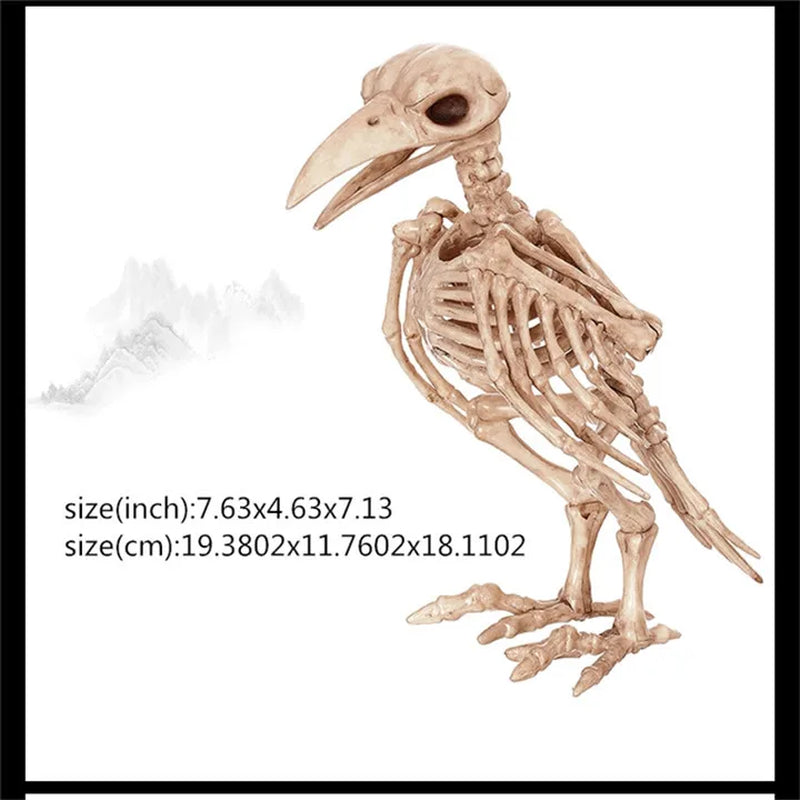 Skeleton Animal Plastic Animal Skeleton Bones 